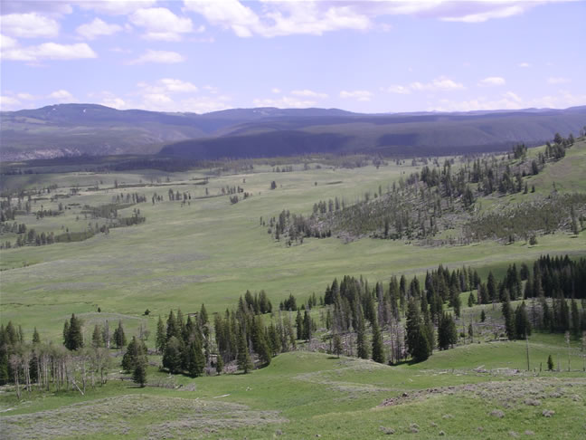 images/F- on Dunraven Pass (5).jpg